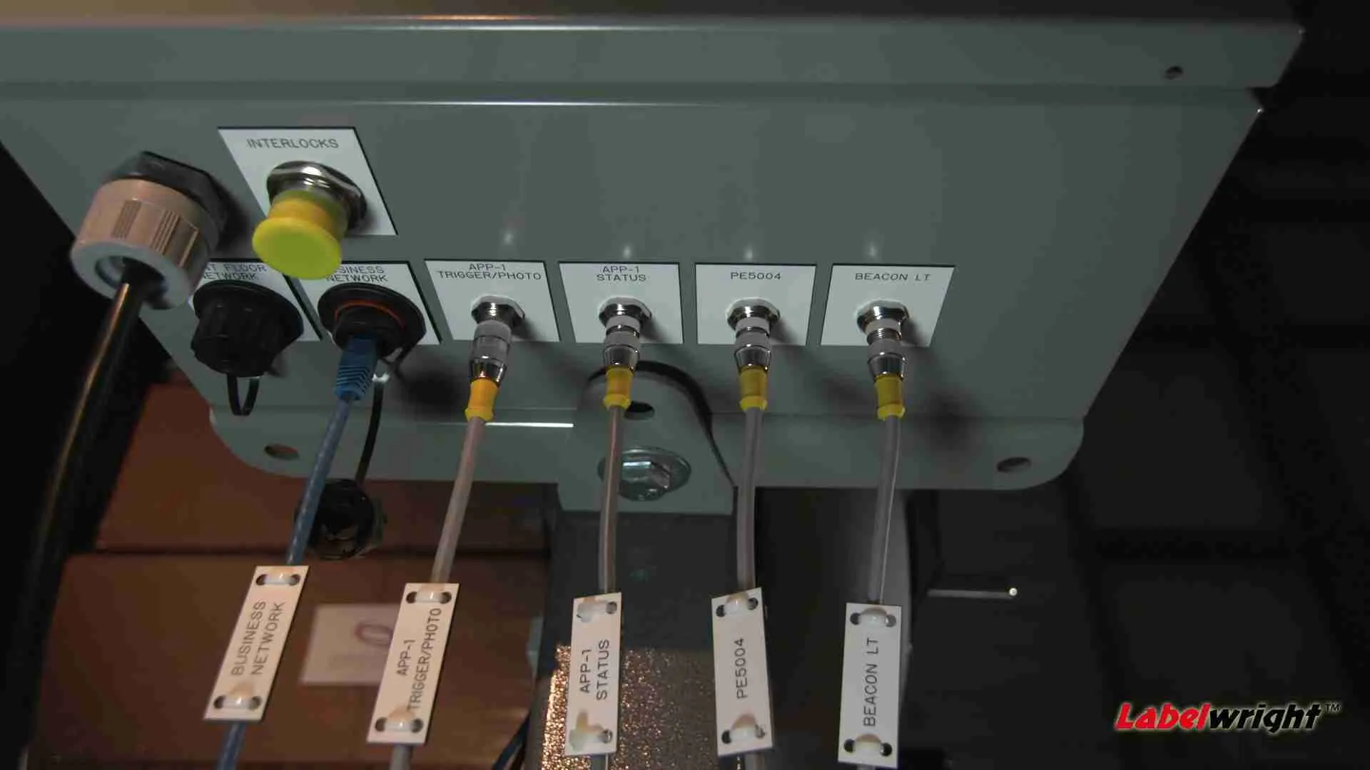 Labelwright print and apply labeling system